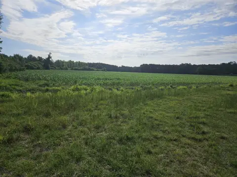 Nichols Farm Land For Sale