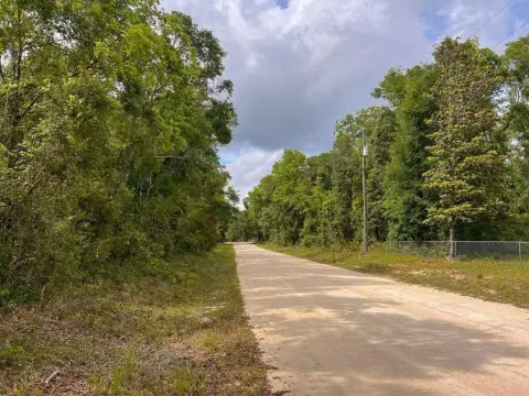 Land Parcel in Old Town, FL