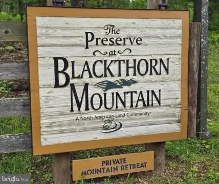 Secluded Wooded Lot For Sale