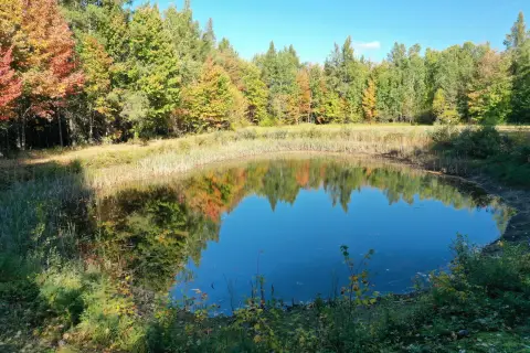 Hunting Land with Pond