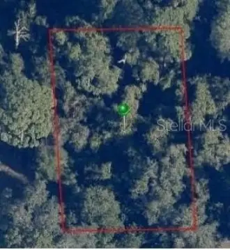 Wooded Lot in Orange City