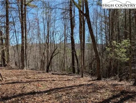 10 Acres in Crumpler, NC
