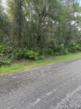 Uncleared Residential Land Parcel