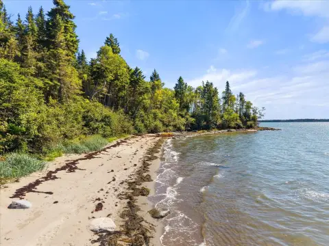 Wooded Oceanfront Land