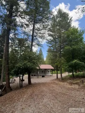 Wooded Recreation Land with Utilities