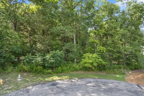 Residential Land in Rockwood, TN