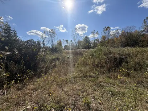 Expansive Residential Land in Belleville