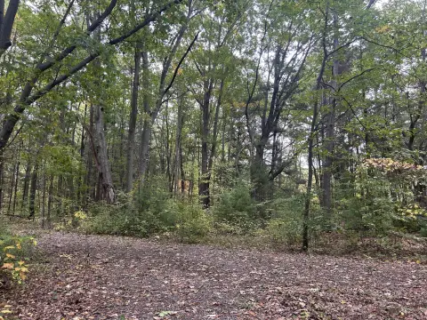 7.9 Acres Wooded Land Opportunity