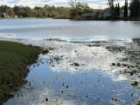 Land For Sale, Mayville, MI