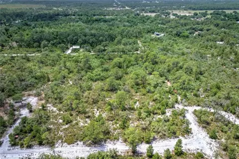 5 Acres Agricultural Land Sebring