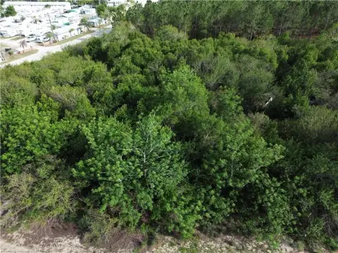 Wooded Rural Homesite Acreage