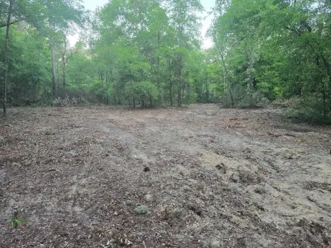 Bronson, FL Acreage for Home