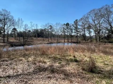 91 Acres in Sandy Hook