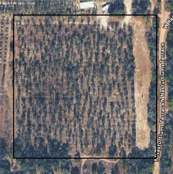 Fenced and Gated Agricultural Parcel