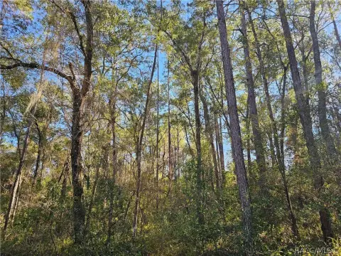 Residential Homesite Lot