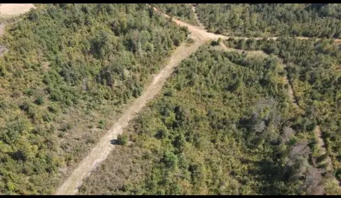 Toomsboro, GA Hunting Land