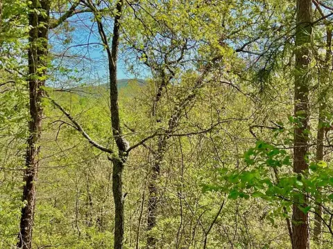 Ranger, GA Vacant Lot
