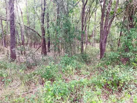 Sebring Acreage Parcel For Sale