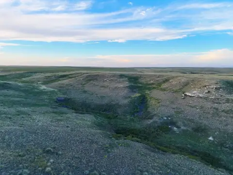 Farmland with CRP Enrollment