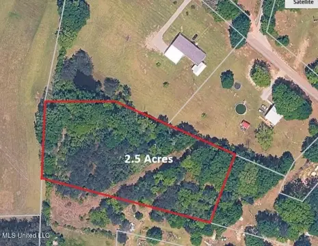 Poplarville, MS Raw Wooded Land