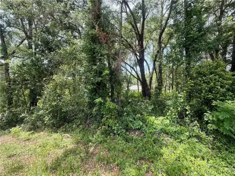 Single-Family Residential Homesite Land