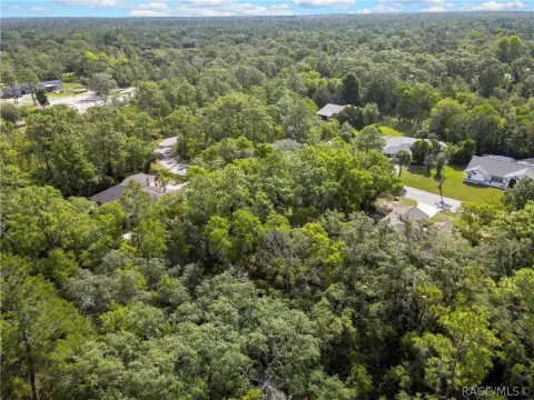 Homosassa Land in Sugarmill Woods