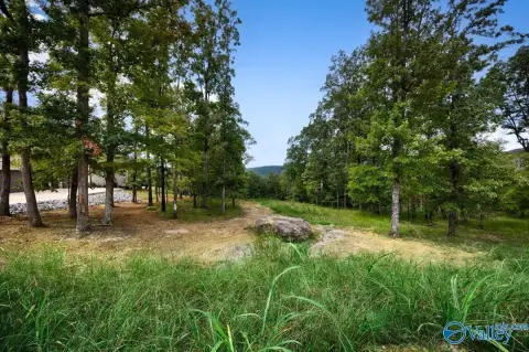 Mountaintop Estate Home Lot