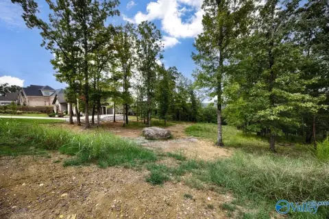 Mountaintop Estate Home Lot