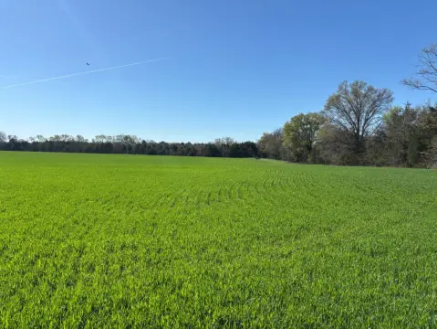 194.6 Acres of Income-Producing Land