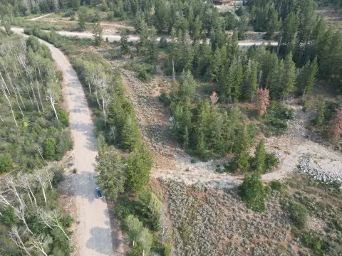Heavily Forested Mountain Land
