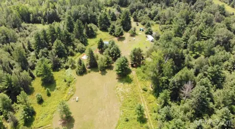 Wooded Hunting Land