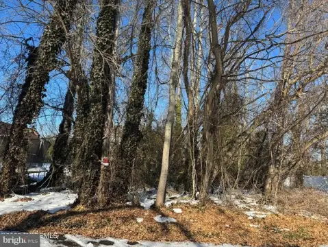 Land Near Beach and River