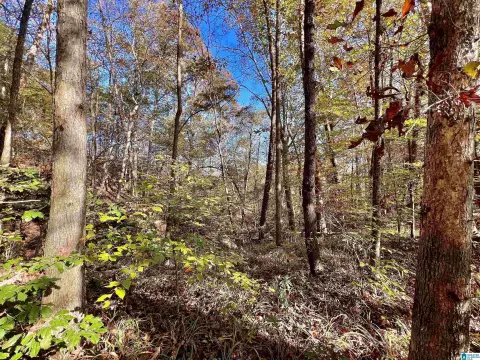 Riverfront Land with Water Access