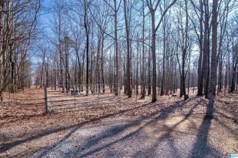 Versatile 16-Acre Property