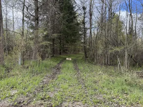 20 Acre Wooded Land Parcel