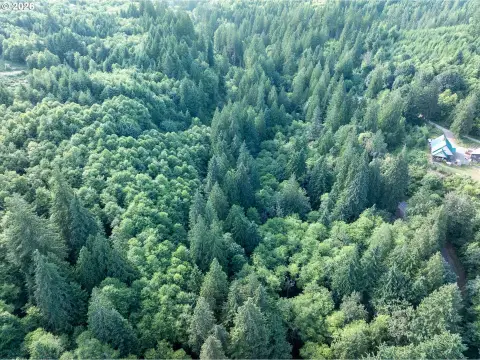 Recreation Land with Creek Frontage