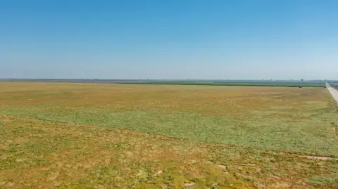 Allensworth Village Farm Opportunity