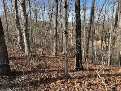 Hayesville NC Wooded Lot