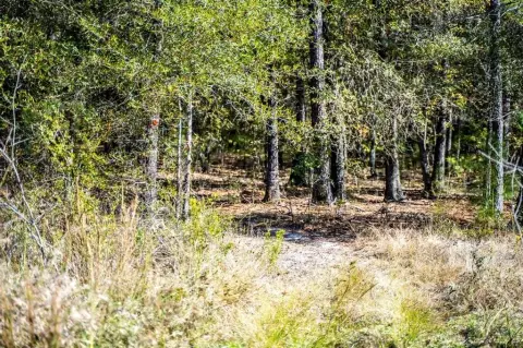 42 Acres Hunting Land, Clarksville