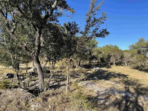 Two Acre Lot in Texas