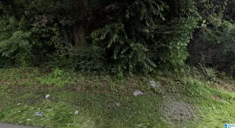 Land in Bessemer, Alabama