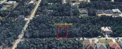 Residential Lot in Port Charlotte