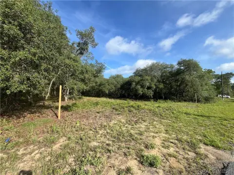Cleared Lot in Citrus Springs