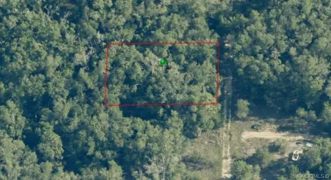 Wooded Homesite in Inverness Acres