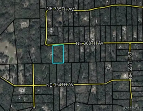 Dixie County Land For Sale