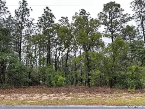Residential Lot in Citrus Springs