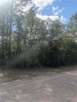 Residential Homesite in Citrus Springs