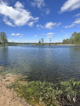 Miner Lake Waterfront Acreage