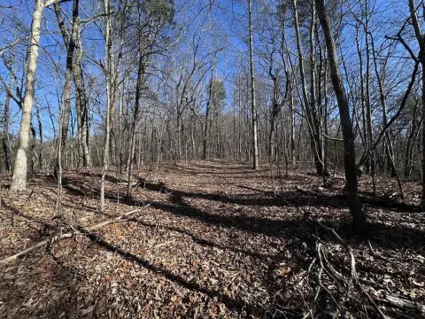 Ellijay Vacant Land with Views