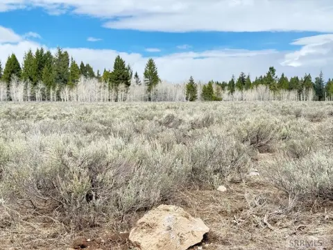 Island Park Land with Views